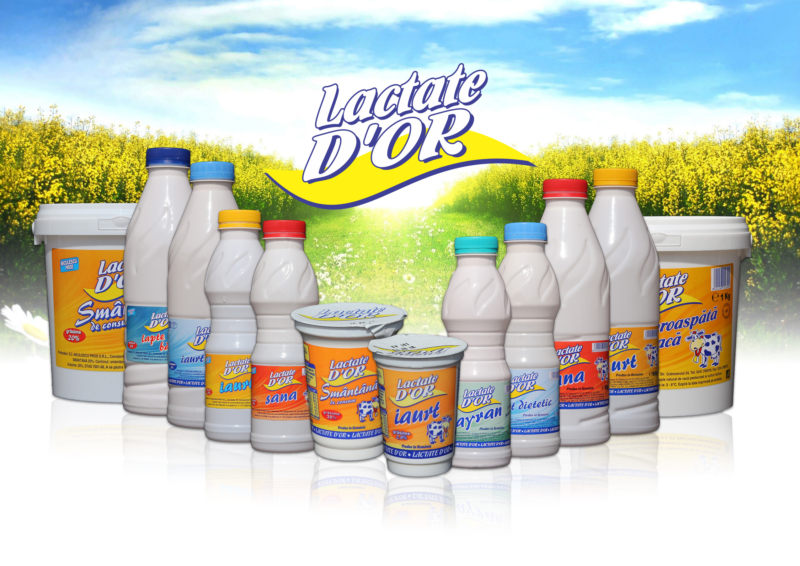 Lactate D'or